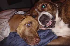 Lili and Me